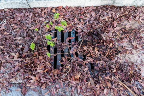 Yard Drain Unclogging in Easton
