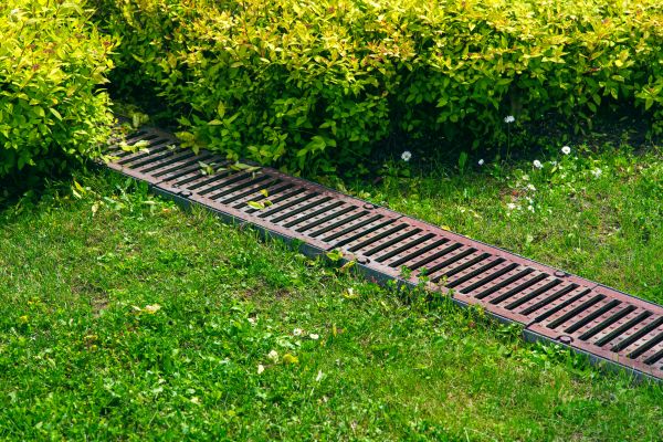 Lawn Drainage in Easton
