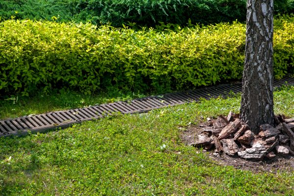 Residential Landscape Drainage in Easton