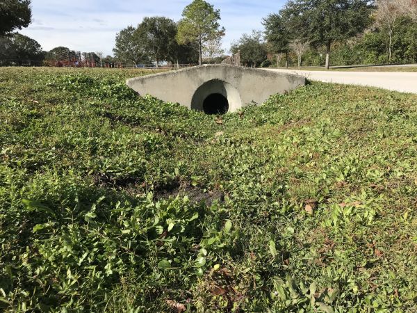 Cost of Swale Drainage Service in Easton